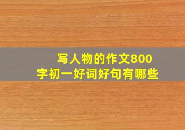 写人物的作文800字初一好词好句有哪些