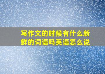 写作文的时候有什么新鲜的词语吗英语怎么说