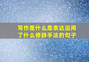 写作是什么是表达运用了什么修辞手法的句子