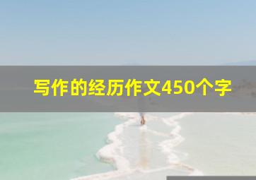 写作的经历作文450个字