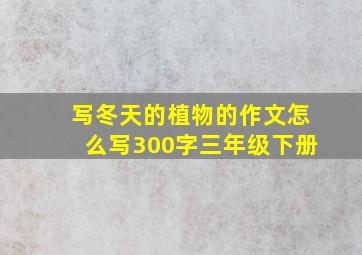 写冬天的植物的作文怎么写300字三年级下册