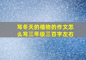 写冬天的植物的作文怎么写三年级三百字左右