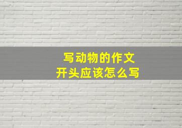 写动物的作文开头应该怎么写