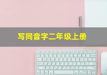 写同音字二年级上册