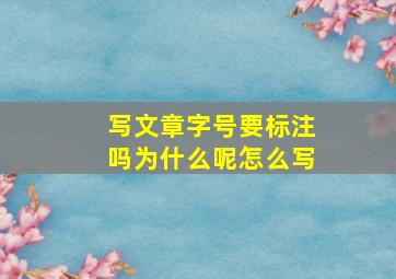 写文章字号要标注吗为什么呢怎么写