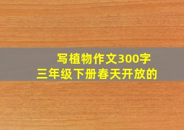 写植物作文300字三年级下册春天开放的