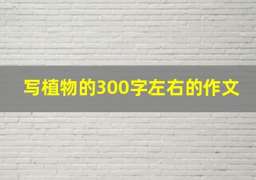 写植物的300字左右的作文