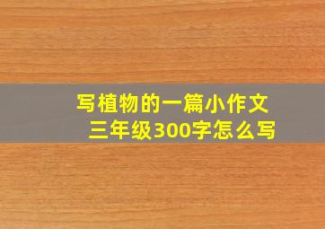 写植物的一篇小作文三年级300字怎么写