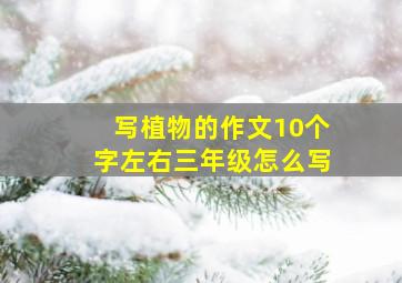 写植物的作文10个字左右三年级怎么写