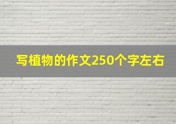 写植物的作文250个字左右