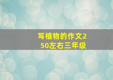 写植物的作文250左右三年级