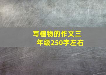 写植物的作文三年级250字左右