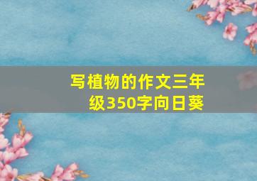 写植物的作文三年级350字向日葵