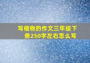 写植物的作文三年级下册250字左右怎么写