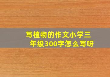 写植物的作文小学三年级300字怎么写呀