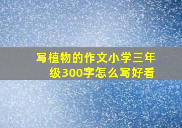 写植物的作文小学三年级300字怎么写好看