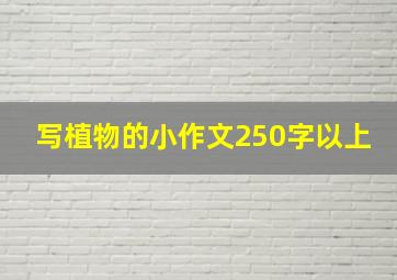 写植物的小作文250字以上