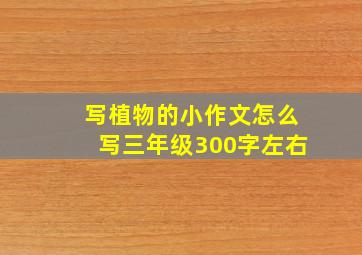 写植物的小作文怎么写三年级300字左右