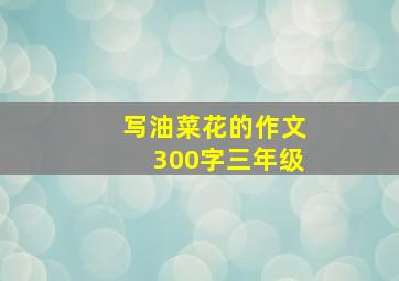 写油菜花的作文300字三年级