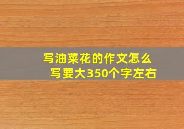 写油菜花的作文怎么写要大350个字左右