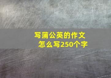 写蒲公英的作文怎么写250个字