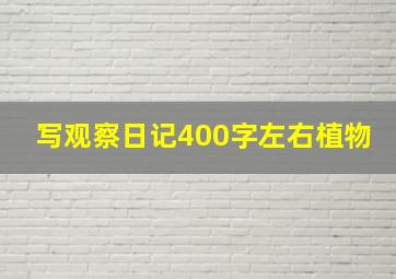 写观察日记400字左右植物