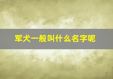 军犬一般叫什么名字呢