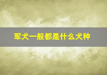 军犬一般都是什么犬种