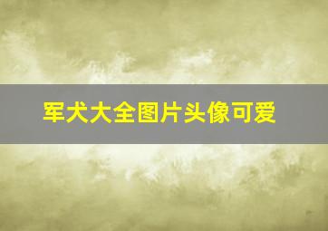 军犬大全图片头像可爱