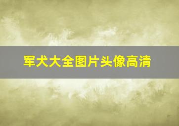 军犬大全图片头像高清