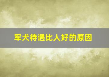 军犬待遇比人好的原因