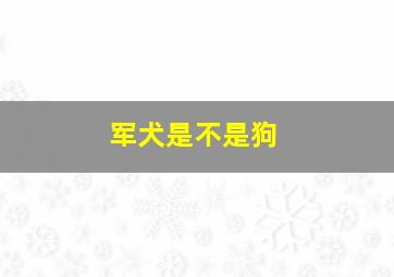 军犬是不是狗