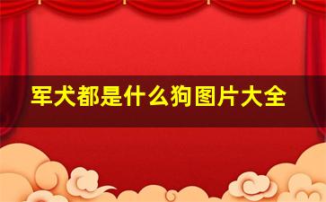 军犬都是什么狗图片大全