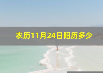 农历11月24日阳历多少