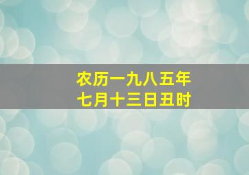 农历一九八五年七月十三日丑时