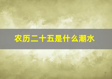 农历二十五是什么潮水