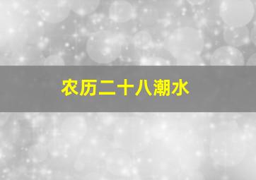 农历二十八潮水