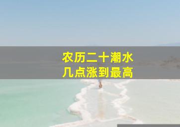 农历二十潮水几点涨到最高