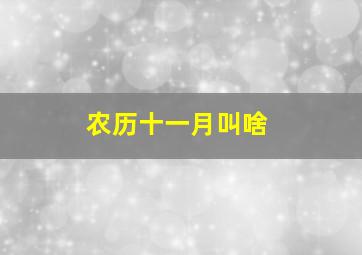 农历十一月叫啥