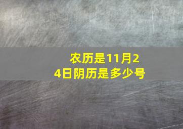 农历是11月24日阴历是多少号