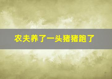 农夫养了一头猪猪跑了