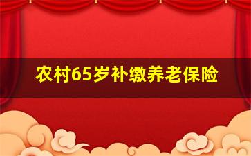 农村65岁补缴养老保险