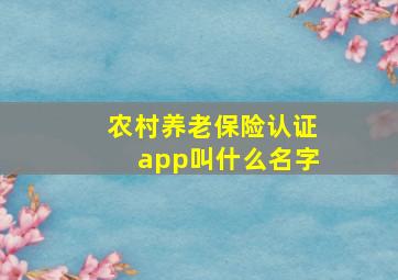 农村养老保险认证app叫什么名字