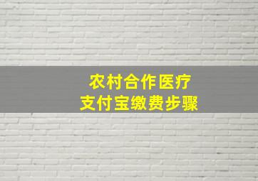 农村合作医疗支付宝缴费步骤