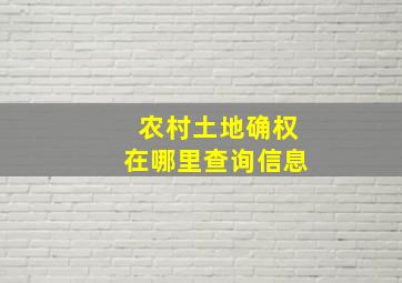 农村土地确权在哪里查询信息