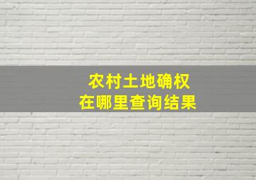 农村土地确权在哪里查询结果