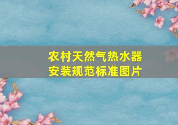 农村天然气热水器安装规范标准图片