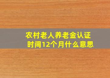 农村老人养老金认证时间12个月什么意思