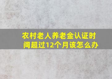 农村老人养老金认证时间超过12个月该怎么办