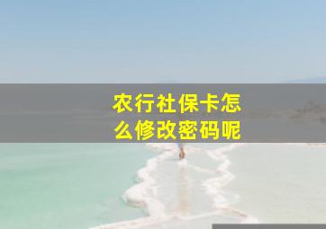 农行社保卡怎么修改密码呢